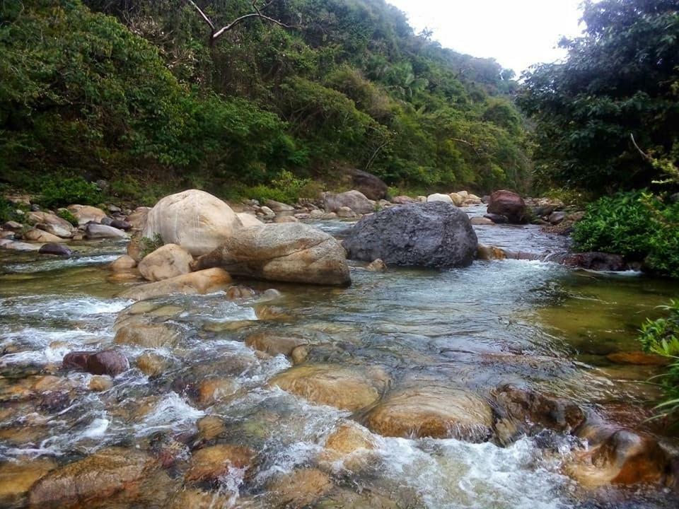 Casa Rio Cuale And River Retreat Puerto Vallarta Dış mekan fotoğraf