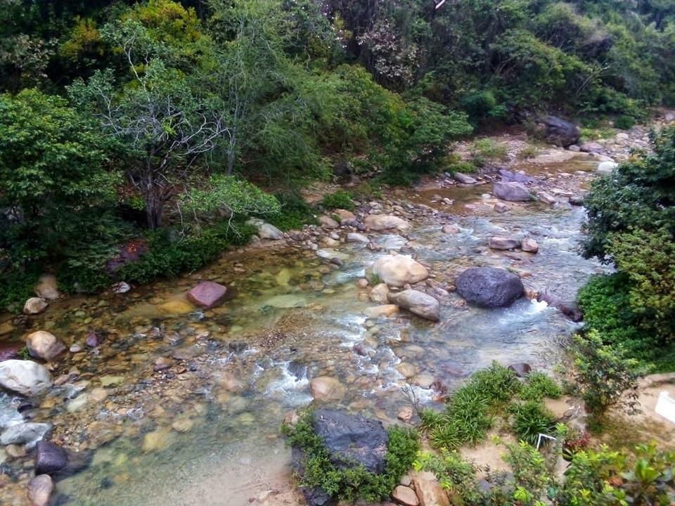 Casa Rio Cuale And River Retreat Puerto Vallarta Dış mekan fotoğraf