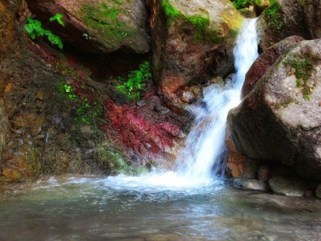Casa Rio Cuale And River Retreat Puerto Vallarta Dış mekan fotoğraf